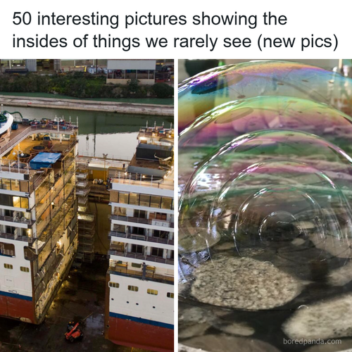 inside things pics.png