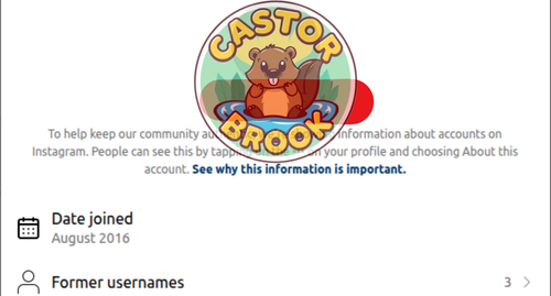 iNSTA 2.png