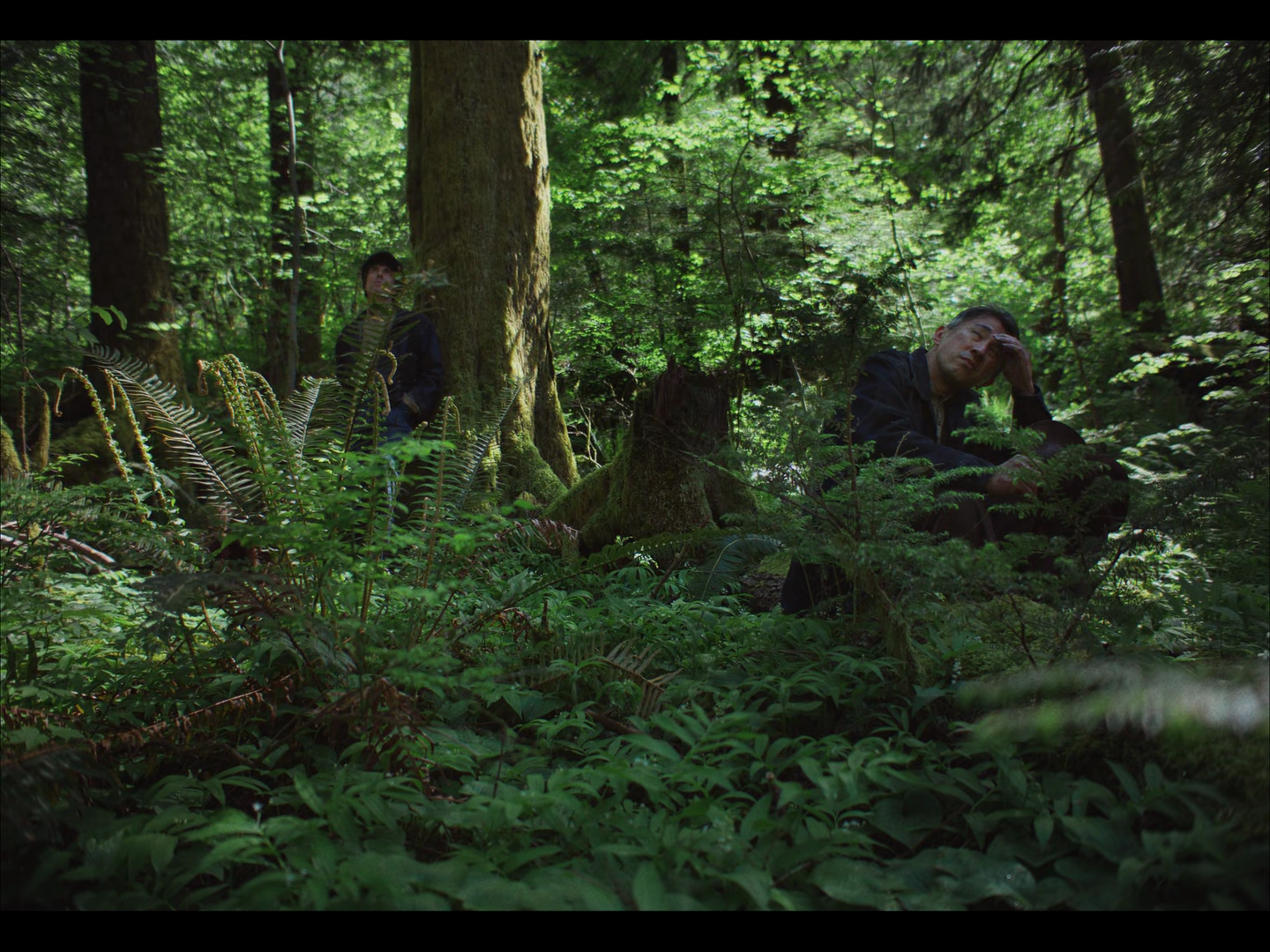 vlcsnap 2025 11 21 15h43m02s730