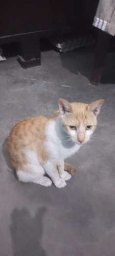 d8076899 1f1d 4e94 a661 499052ecd1c3 1 all 1913.jpg