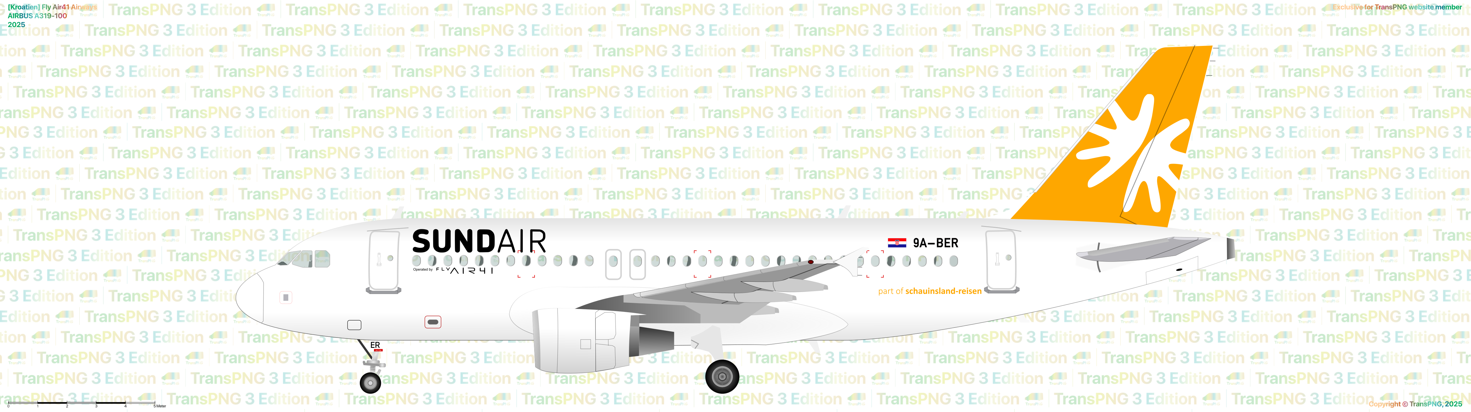 [38282] Fly Air41 Airways