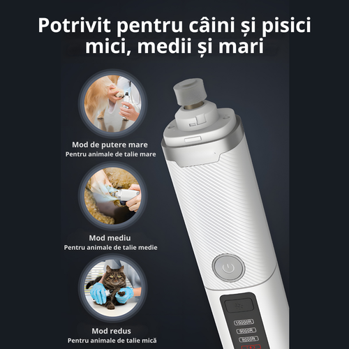 poza 7.png