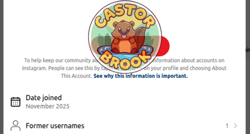 Insta 3.png