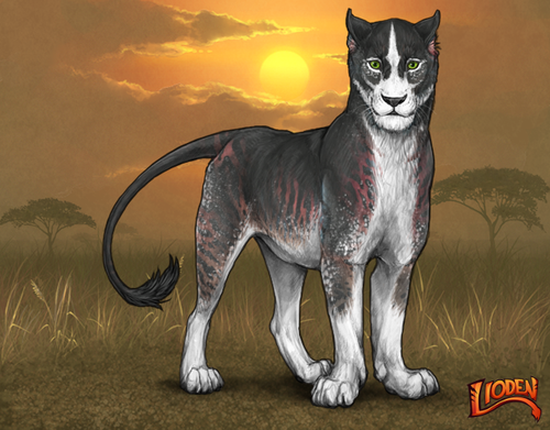 lioden wardrobe (58).png