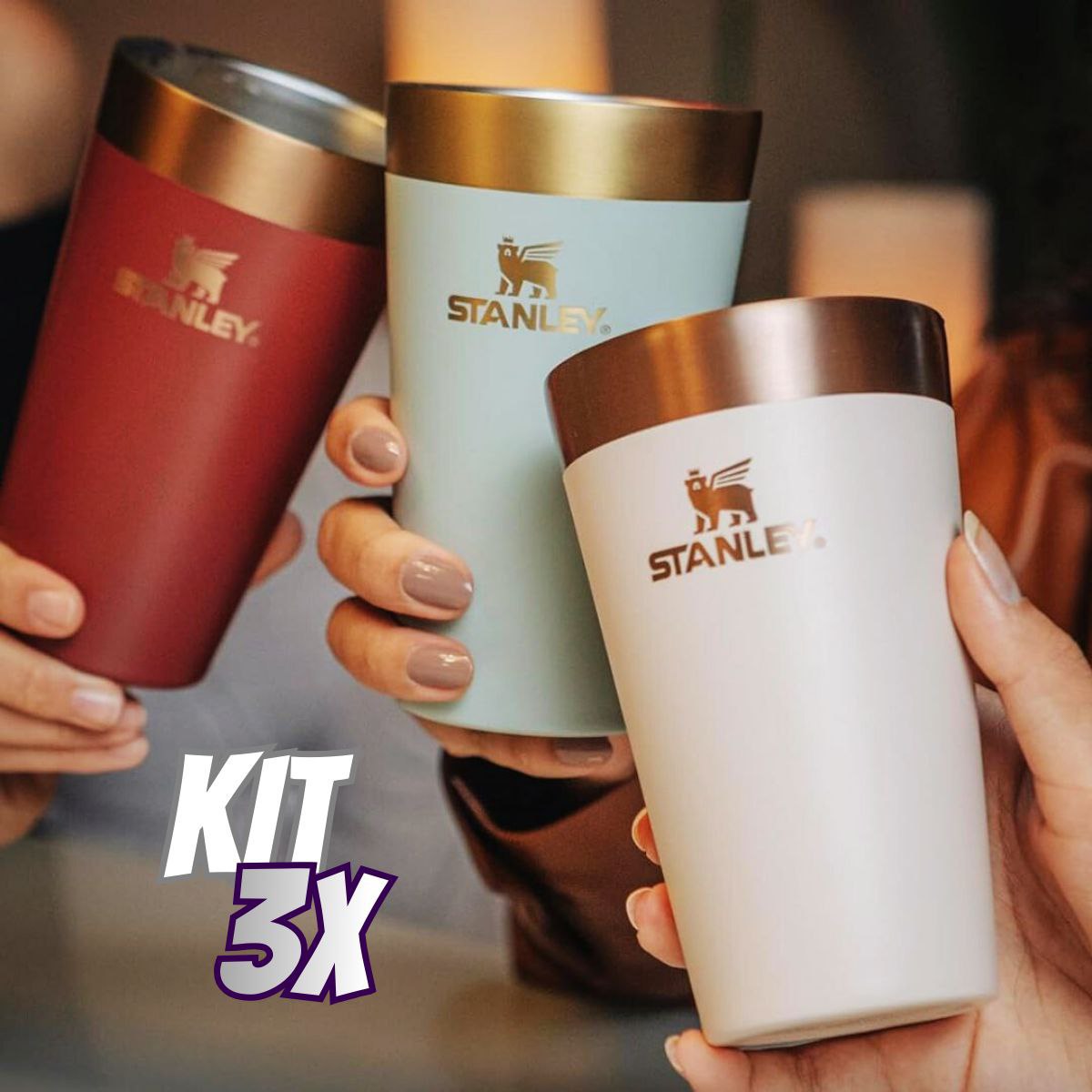 Kit 3 Copos Térmicos De Cerveja Gilded Pomegranate | 473ml