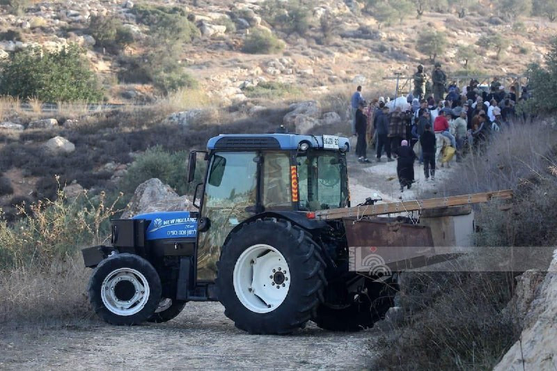  جيش الاحتلال يعرقل وصول المواطنين إلى أراضيهم لقطف ثمار الزيتون في قرية سالم شرقي نابلس شمال الضفة الغربية...