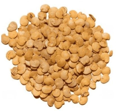 8 golmakra begun 8p suprikam ori.jpg