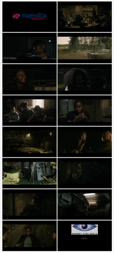 IMG 20251122 100349.jpg