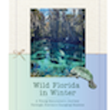 FEC Winter 2025 Full Curriculum