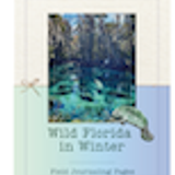 FEC Winter 2025 Field Journaling Pages