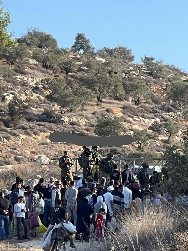 أهالي بلدة سالم شرق نابلس ينتظرون السماح لهم بالدخول عبر بوابة حديدية للمنطقة الشرقية للبلدة لقطف ثمار الزيتون بعد مماطلات عديدة...