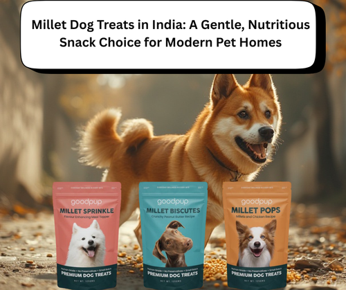 natural dog biscuits online.png