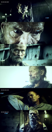 InCollage 20251122 110608266.jpg