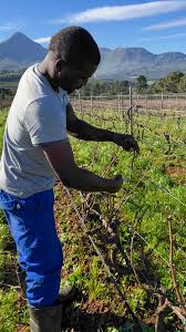 Agricultural Services