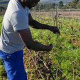 agriculture