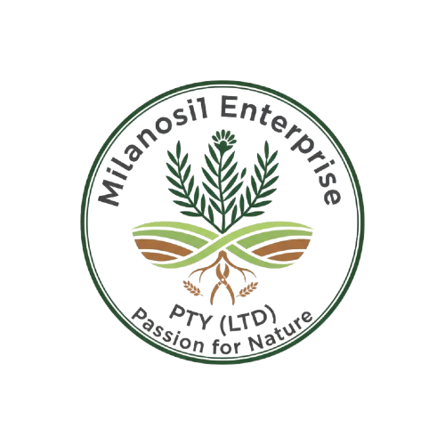 Milanosi1 Enterprise Logo