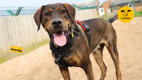 9elcTC7eIpgVGrUe.jpg