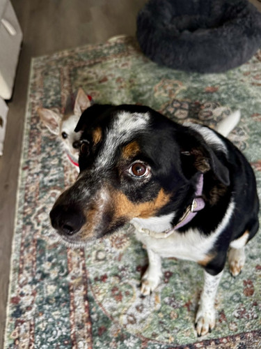 G R2O7gWwAA2zQo?format=jpg.jpg