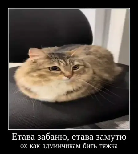 fb69a35f bf3a 4137 b736 d8877d65d94a.webp