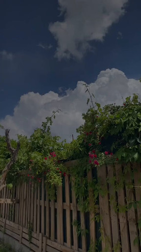 CXce hRumKyn7p2A.jpg