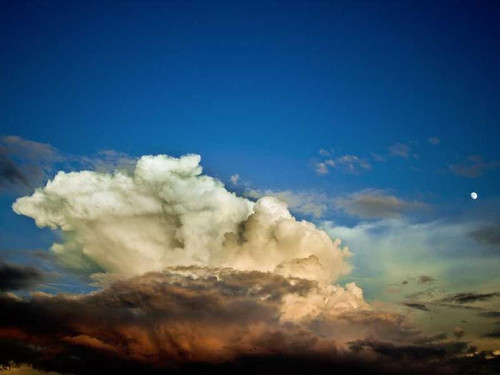 98e55979d3c0.jpg