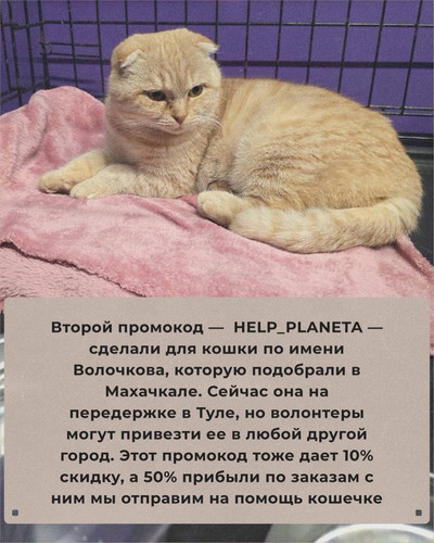 G SZ0eIWgAArgIg?format=jpg.jpg