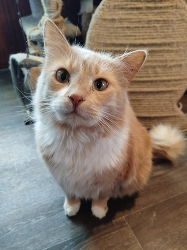 G RQGaoWEAAcWYp?format=jpg.jpg