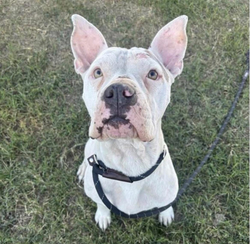 G MbynNWQAA92j ?format=jpg.jpg