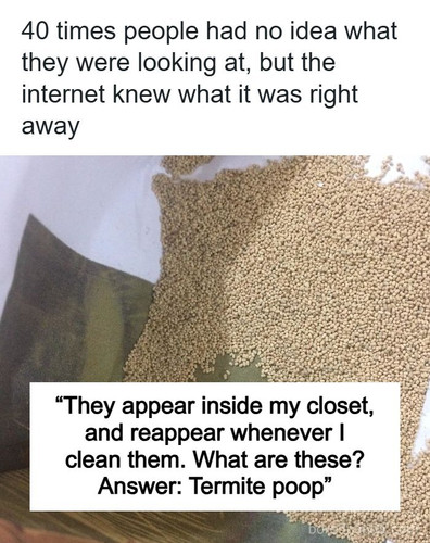 weird uncommon things.jpg