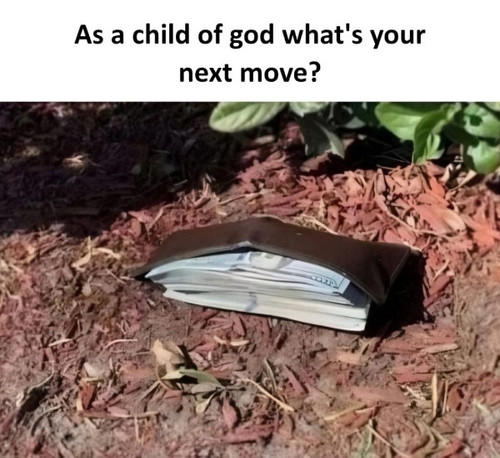 98e5a6cb 049e 4fbe 868f 7f19d3ccfb1f.jpg