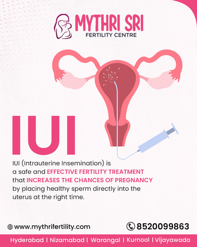 How IUI Helps Increase Pregnancy Chances?.jpg