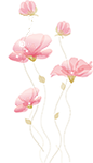 pngwing.com.png