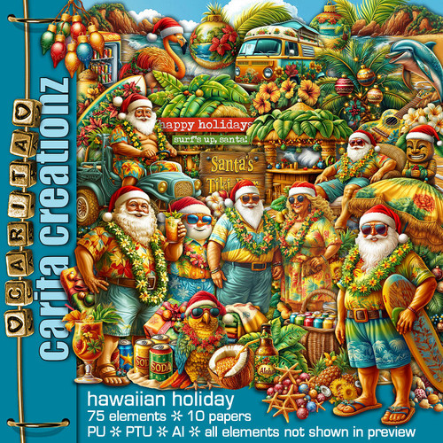 CC PU HawaiianHoliday.jpg