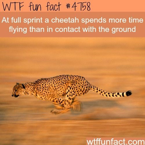 1000005024.jpg