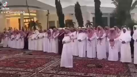 RI Tt ElV9OuZ3J3.jpg