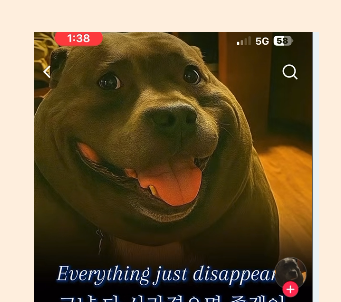 192eb284e111.png