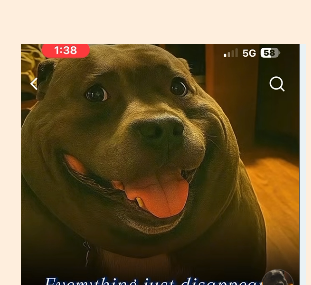 1076f2d98e8b.png