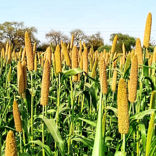 f36a50cc c6c0 4061 8482 c8ef13e83adb.jpg