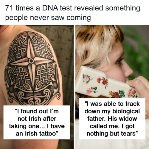 destroyed families dna tests 23andme.jpg