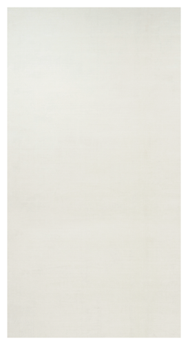 34477 10'X19' (Custom).png