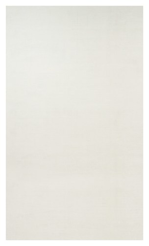 34477 10'X17' (Custom).png
