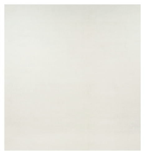 34477 13'X14'.png
