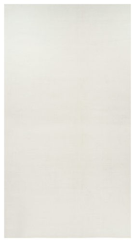 34477 13'X22'.png