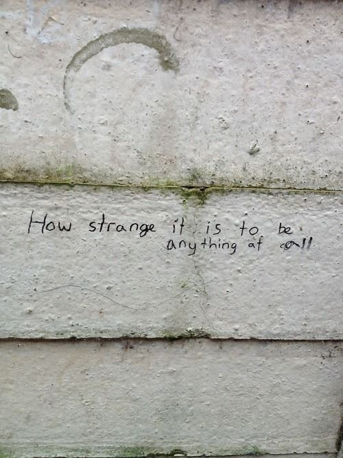 1000363336.jpg