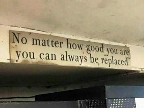 1000363385.jpg
