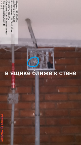 1000004890.jpg