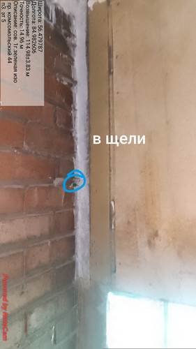 1000004891.jpg