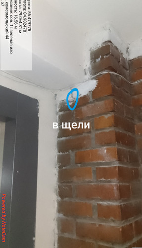 1000004896.jpg