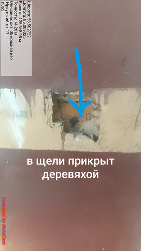 1000004956.jpg