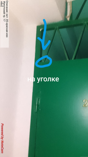 1000004953.jpg
